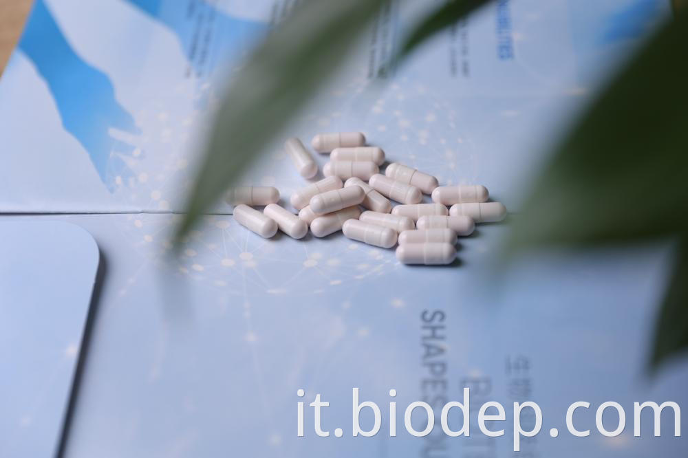 Lactobacillus Gasseri